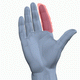 MG: палец (руки)